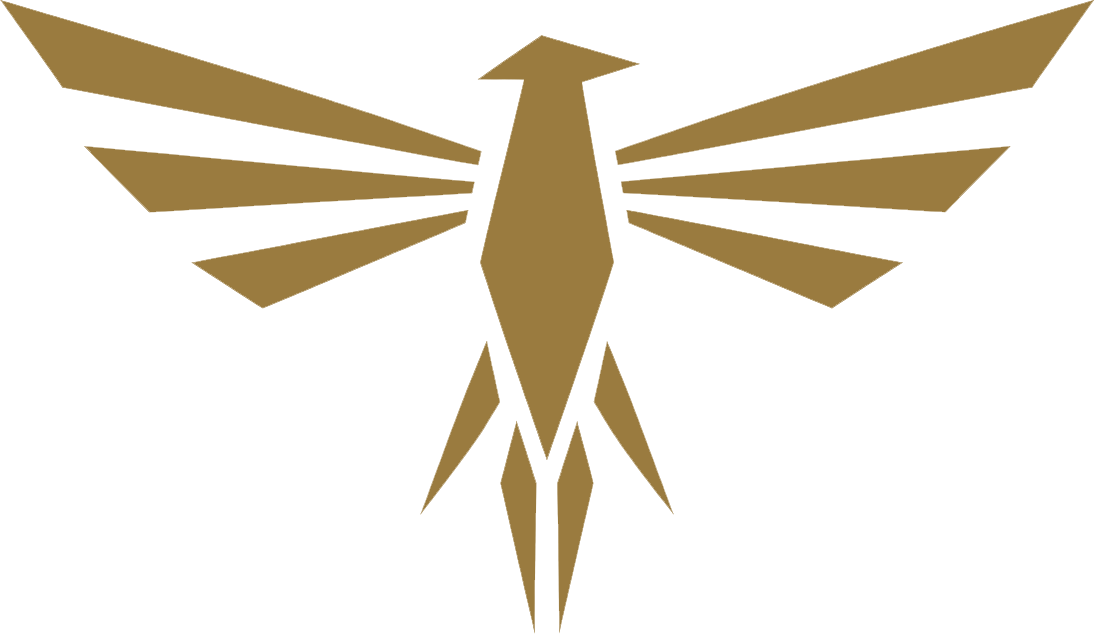Greifvogel als Symbol systemischer Perspektiven